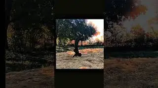 how to back hand spring flip #trending#flip #shorts #flip #viralvideo #flip #back #handcam #cyborg