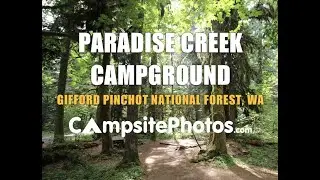 Paradise Creek Campground - Gifford Pinchot National Forest, WA