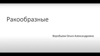 11 урок. Тип Ракообразные(Crustacea): характеристика, разнообразие. Зоология беспозвоночных.