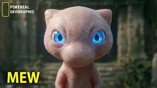POK&Eacute;MON REAL LIFE | Mew&rsquo;s SECRET: The Origins of All Pok&eacute;mon (Documentary Style)