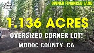1.13 Acres for Sale - Seller Financing -  Corner Lot, Alturas, CA | California Pines 20062