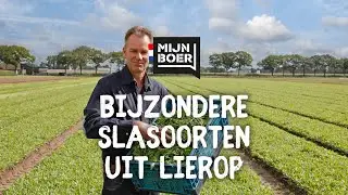 Mijnboer teler Adrie van den Einden