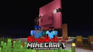 Minecraft PS3 Survival - 