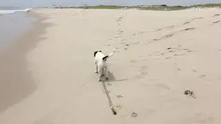 Island Beach State Park
