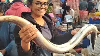 😋Fish Market || Ganesh peth || Nana Peth ||Go Natural.