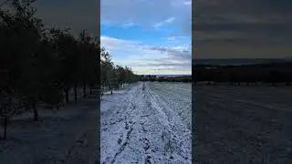 Adriatic Winter Landscapes | Olives, Snow & Alps #croatia #nature #travellife