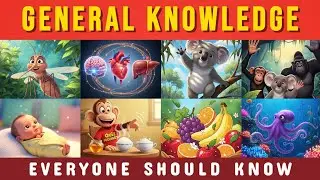General Knowledge Trivia Quiz! 🧠 | 60 Questions Everyone Should Know &ndash; Do You?