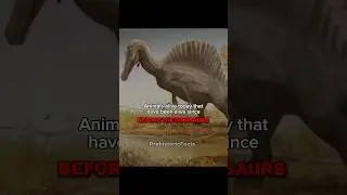 Animals that lived before the Dinosaurs and still live.😱💀🦣🔥 #pterosaurus #real #dinosaur