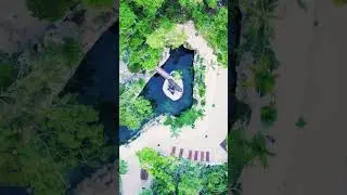 COYU Techno Set 2023 | Deep Jungle | Tulum DJ Academy
