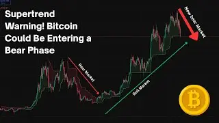 Bitcoin&rsquo;s Most Accurate Bear Market Signal Is Flashing!