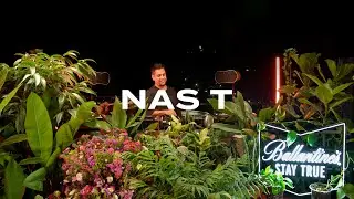 Minimal house with plants by Nas T DJ Set at Galeria Cima, Santiago