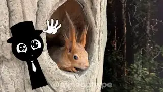 Burning SPRUNKI at the ZOO...   (Sprunki in Real Life) 2