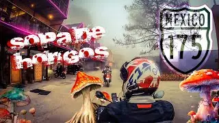San José del Pacifico, Oaxaca.  Federal 190 y 175 #moto #aventura #méxico #oaxaca #ruta