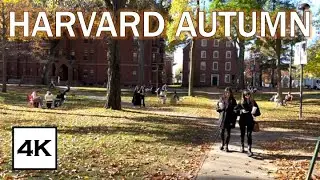 Autumn Foliage in Harvard Yard 🍁 &middot; 4K Walk