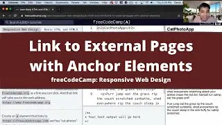 Link to External Pages with Anchor Elements (Basic HTML and HTML5) freeCodeCamp Tutorial