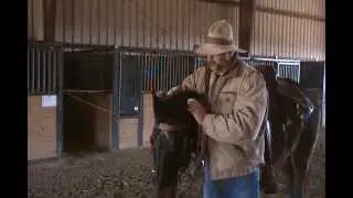Show-me trail ride outfitter,  safety with horses
