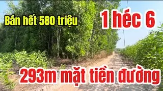 Cần bán 16.000m2 bám 293m mặt tiền đường gần sông la ngà tỉnh đồng Nai bán 580 triệu 
