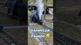 Dampflok fahren - eine besondere Miniatur-Dampfmaschine im Arbeitseinsatz