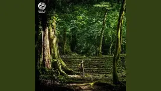Cosmic and Expansive Exploration of Jungle Sounds