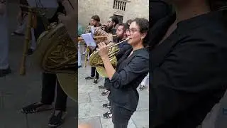 Ball dels Gegants del pi | Mitja cobla del Camp