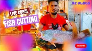 Live Koral Fish Cutting Skills In Bangladesh Fish Market | Amazing Fastest Fish cutting skills 2021