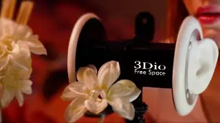 3Dio: 10 Delicate Vanilla Triggers &hearts;