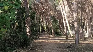 Pescara, Italy HD Walking tour. 1920 little mansions and natural reserve