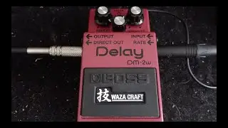 Boss DM2W Delay Waza Craft (Acoustic)