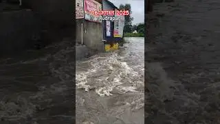 Heavy rain (Rudrapur Uttrakhand) #shorts #uttarakhand #rudrapur #rain #rainyday #news #aajtak