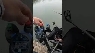 Bomb Fishing - 6 Pellets Twice #MatchFishing #CarpFishing #GoldValleyLakes #BombAndPellet