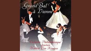 Aimer, Boire et Chanter (Johann Strauss)