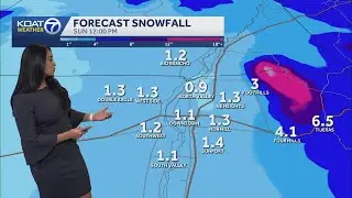 Winter storm beginning to impact New Mexico with freezing rain, sleet and snow