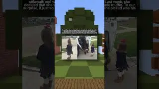 Heartwarming Memes