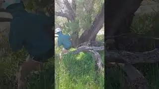 Our 100th Geocaching Find!