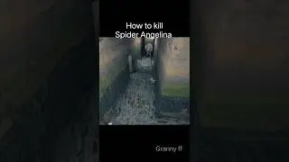 How to kill spider angelina | Spider angelina ko kaise mare #angelina #shorts #granny