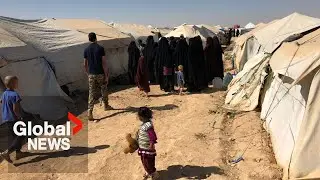 Questions over Canada's policy shift after 2 women who joined ISIS repatriated