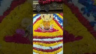 thari more ki chadi #shyambaba #falgunmela