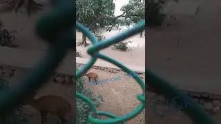 Mansar lake jammu, Suhana vlogs