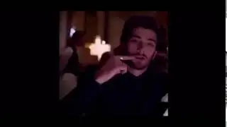 night changes dog eating spaghetti