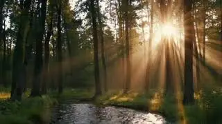 Rest While You Colour | 15 Minutes of Calm Support for Adults | Grateful Lines