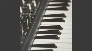 Love Dream