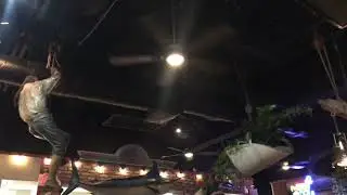 Johnny Longboats