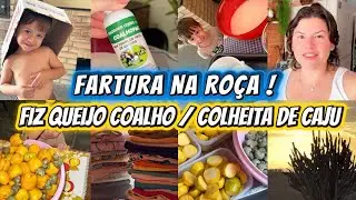 ROTINA DIÁRIA/ AMANHECER NO SERTÃO /  FARTURA   DE CAJU / QUEIJO COALHO / ALMOÇO NUTRITIVO 