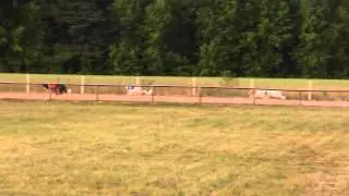 L&auml;ht&ouml; 12: ven&auml;j&auml;n vinttikoira, Sijoitus, pisteet 15-20, 480 m