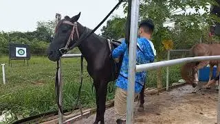 Horseback Archery Circular Track