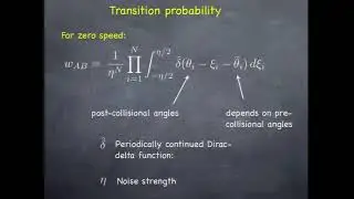 Prof. Thomas Ihle | Phase transitions and solitons in self-propelled particles: kinetic theory...