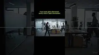 Hidden Science Behind Office Cubicles 🧠