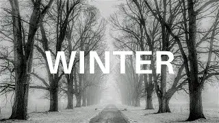 Cozy Ambient Winter Background Music NO COPYRIGHT