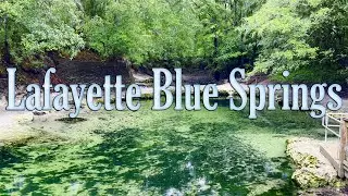 Diving Lafayette Blue Springs on the Suwannee River