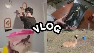 Saving A Baby Lizard | New BEGoth Dolls | Decorating the Guest Room + More | Vlog